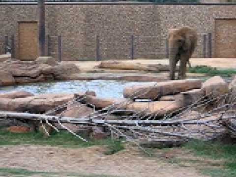 Freelance Writer/Editor 