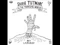 Since You've Gone - Shane Tutmarc & The Traveling Mercies