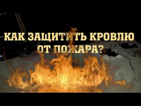 Защита от насекомых в деревянном доме