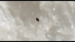 Clic Flying Saucer Captured Ping The Moon By Amateur Astronomer. Berkshire, England