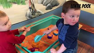 Hands on Childrens Museum! Olympia WA
