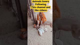 Animals Lovers Women