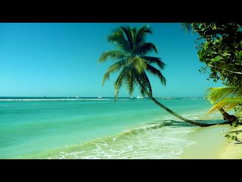 Calming Ocean Waves (Tobago)