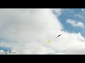 DJI Assistant2 - Cannot load firmware list. Please Retry - install old/new Assistant side by side