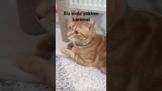 15 Haziran 2024