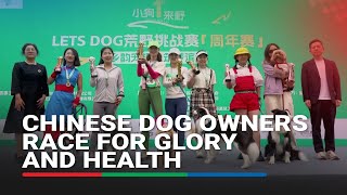 Chinese Dog Owners Race For Glory And Health