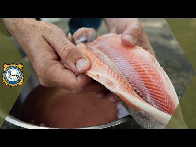 Watch How to Clean Trout - Quick & Easy on YouTube.