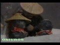 ME LO CONTARON EN JAPÓN - Los Seis Budas de Piedra