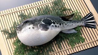 Tetrodotoxin Poisoning - Fugu - Medical Minute