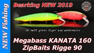 Супер новинки 2019!!! Megabass KANATA 160, ZipBaits Rigge 90, рыболовная футболка и силикон BEARKING