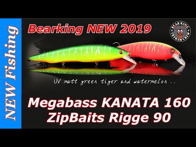 Супер новинки 2019!!! Megabass KANATA 160, ZipBaits Rigge 90, рыболовная футболка и силикон BEARKING