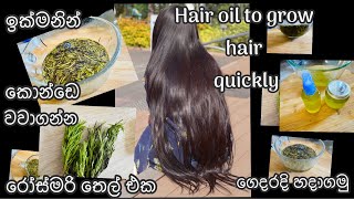 Lets Make Rosemary Hair Oil At Homeරසමර තයනව නම ලසසන කනඩයක ඉකමනන වවගනන පළවන....