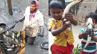 Traditional Fishing | Fresh Country Fish Always Makes Us Hungry | Big Net Trap | Catching Fish Traditional Fishing | Fresh Country Fish Always Makes Us Hungry | Big Net Trap | Catching Fish