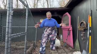 Chicken Manure Tea As Fertilizer