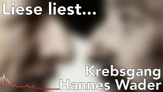 Watch Hannes Wader Krebsgang video