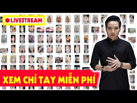 Livestream Hướng Dẫn Xem Chỉ Tay Miễn Phí Dự Đoán GIÀU NGHÈO Trong Tương Lai