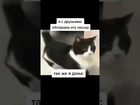 Красотка долбится в задницу и киску с двумя мужиками сразу