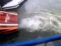 OUTERLIMITS POWERBOATS SV43 002.avi