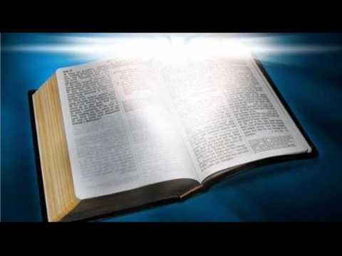 Biblia De Los Testigos De Jehova Pdf Descargar