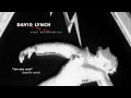 David Lynch - 'Are You Sure' (Bastille Remix)