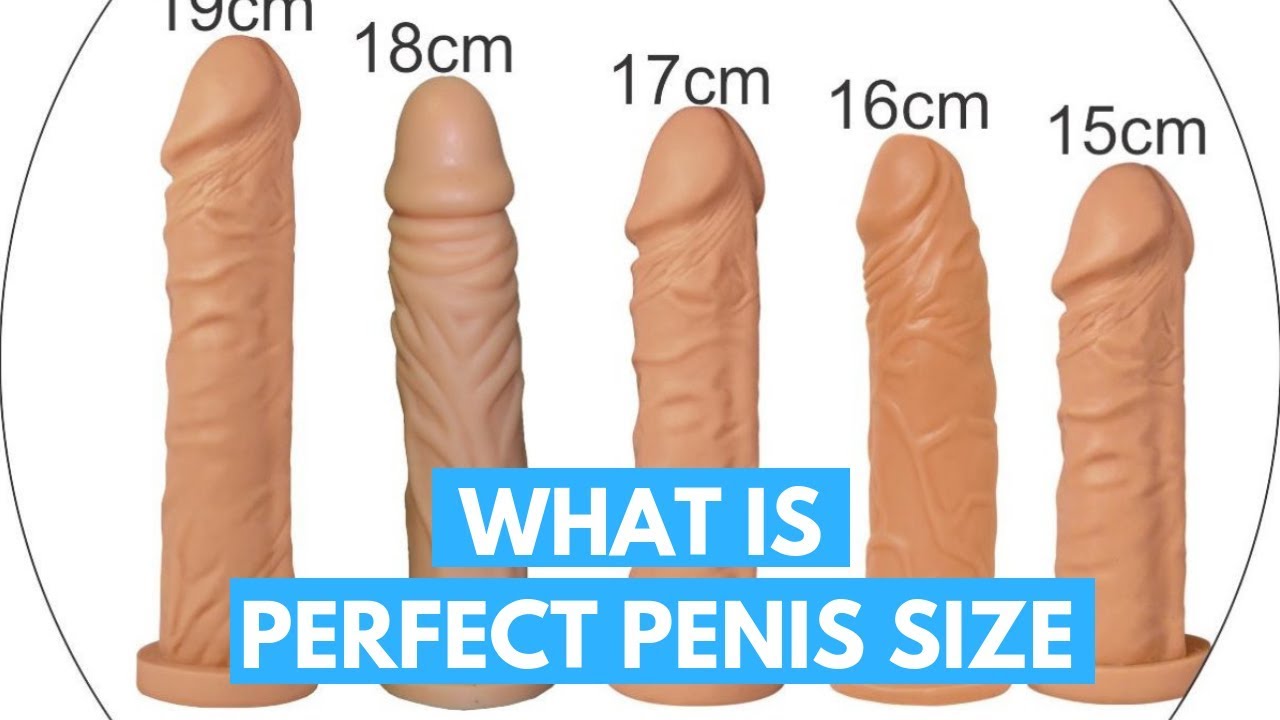 Porn star large penis