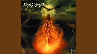 Watch Sear Bliss The Hour Of Burning video