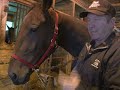 Tips of the Trade - Lead Shank -- USTA harness racing standardbred