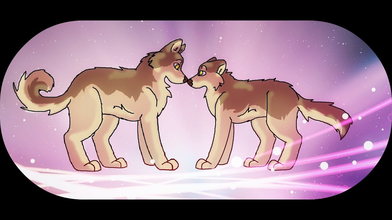 Pictures Of Dogs And Cats To Draw Pictures Of Dogs And Cats To Draw