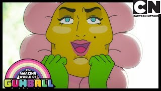 Gumball Türkçe | Taç yaprakları | Çizgi film | Cartoon Network Türkiye