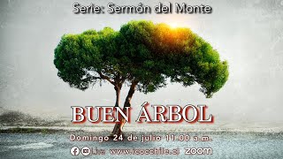 Buen Árbol | Servicio Domingo | ICOC Chile