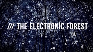 10.12.2016 Fckng Serious Label Night @ The Electronic Forest, Mauritius - Aftermovie