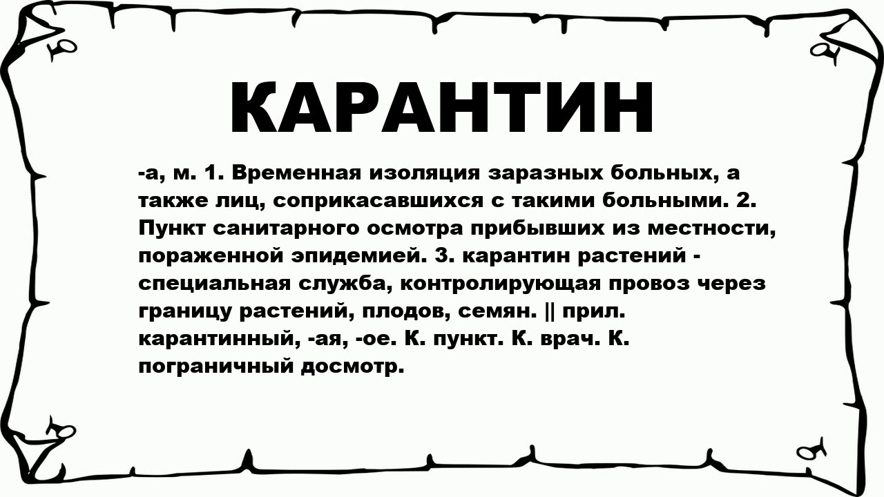 Полезность квартирантки на карантине зашкаливает