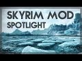 I CANT BELIEVE ITS NOT ENB 2 (SKYRIM MODS)