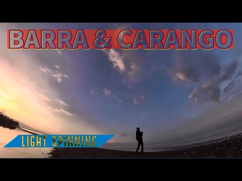 CARANGO &amp; BARRA - Provo molte esche NUOVE! Light spinning in compagnia