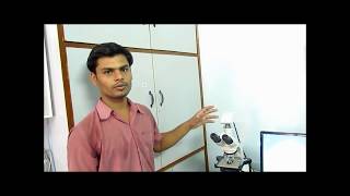 Phase contrast microscopy