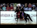 image Renaissance Ml Afire Dream X Fire Essence Smp Arabians