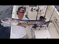 The Barracuda Battle klip izle