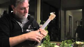 Misterioso - ukulele season 102