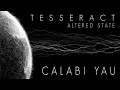 Of Reality Calabi-Yau Video preview