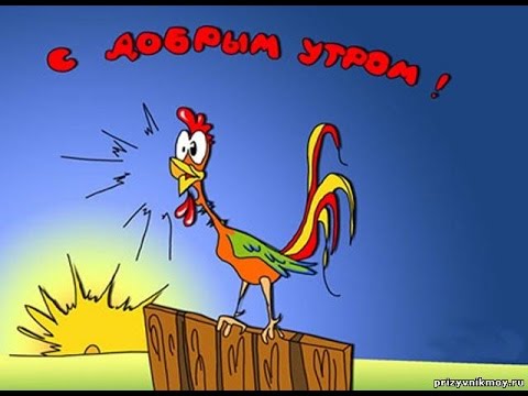 Ржачное пожелание доброго утра Ржачное пожелание доброго утра