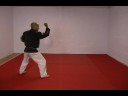 CASA DE KENPO - AMERICAN KENPO - LONG FORM 1