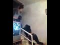 raghs dokhataray irani sexy-رقص و خلوت دختران در ایران