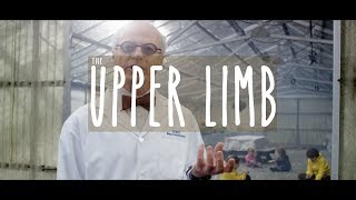 THE UPPER LIMB: Neuroanatomy Season 3, Episode 2