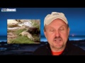 Crocodile Feeder Eaten By Crocodiles images Crocodile Feeder Eaten By Crocodiles