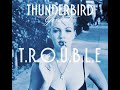 Thunderbird Gerard - Trouble (Andi Durrant 174 Remix)