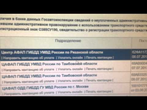 говорить Экспресс проверка штрафов никого больше