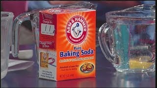 M Appeal Removing Pet Stains And Odors Safely