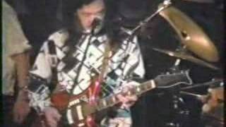 Watch David Lindley She Took Off My Romeos video