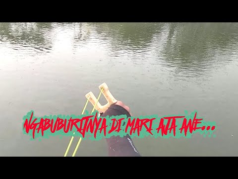 Main Ketapel Ikan Di Bulan Puasa Hasilnya Bisa Untuk Berbuka Sekeluarga