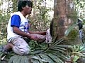 Film Bangka Urang Bulin Bangka Barat images Film Bangka Urang Bulin Bangka Barat